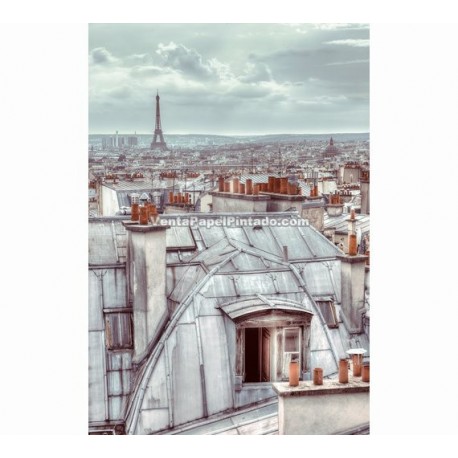 Fotomural 1wall ref. W2PL-PARIS-003