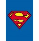 Fotomural 1wall ref. W2PL-SUPERMAN-001