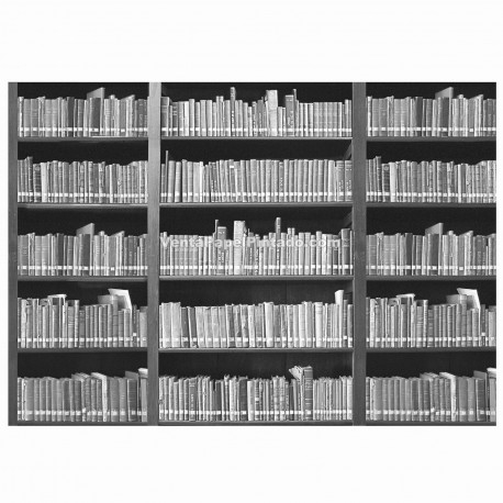Fotomural 1wall ref. W4P-BOOKSHELF-001