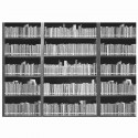 Fotomural 1wall ref. W4P-BOOKSHELF-001