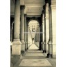 Fotomural 1wall ref. W2P-COLLONADE-002