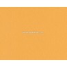 Papel pintado SCHÖNER WOHNEN 5 Referencia 9449-24