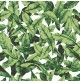 Papel Autoadhesivo HOJAS VERDE ref.127-RMK11045WP