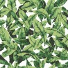 Papel Autoadhesivo HOJAS VERDE ref.127-RMK11045WP