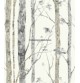 Papel Autoadhesivo ARBOL ref.127-RMK9047WP