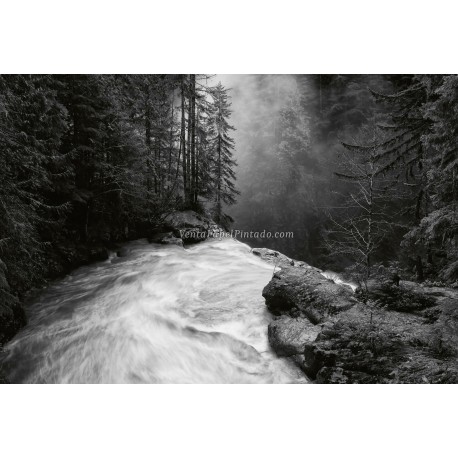 Fotomural Forest CW15124-8