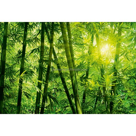 Fotomural Forest CW15403-8
