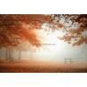 Fotomural Forest CW15438-8
