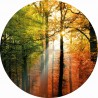Fotomural Forest CW15483-R