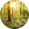 Fotomural Forest CW15502-R
