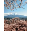 Fotomural Landscapes CW15492-4