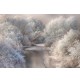 Fotomural Landscapes CW15161-8