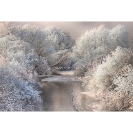 Fotomural Landscapes CW15161-8