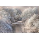 Fotomural Landscapes CW15161-8