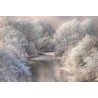 Fotomural Landscapes CW15161-8