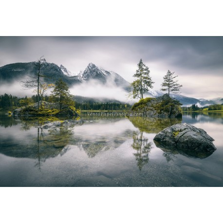 Fotomural Landscapes CW15441-8
