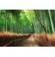 Fotomural Landscapes CW15460-8