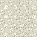 Secret Garden 1502-2555