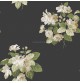 Secret Garden 1502-2559
