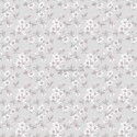 Secret Garden 1502-2580