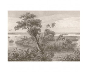 Madagascar Mural Ref. 556155