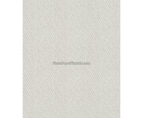 Excelsior ref EX9301