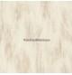 Harmony Página 23