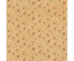 1752-5082
