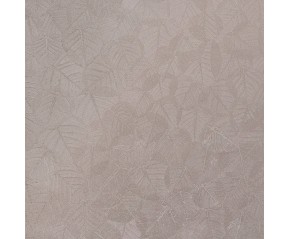 BL69804