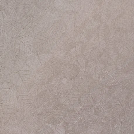 BL69804