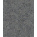 BH2450
