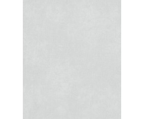 BH3110